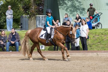 Bild 76 - Pony Akademie Turnier